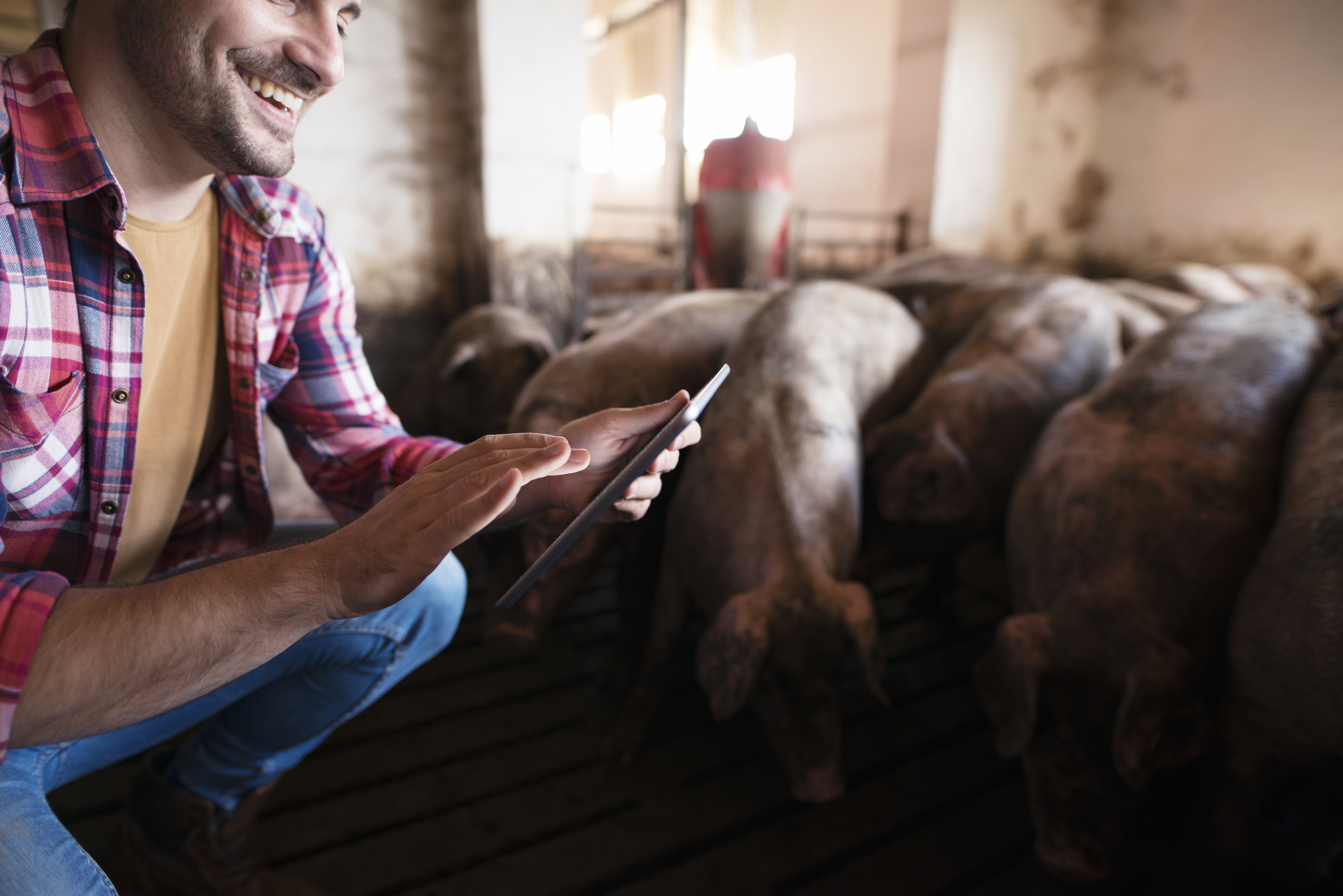 Farmers using FarmLog app together